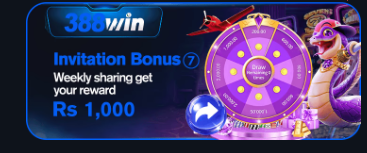 388win