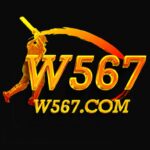 W567 Game