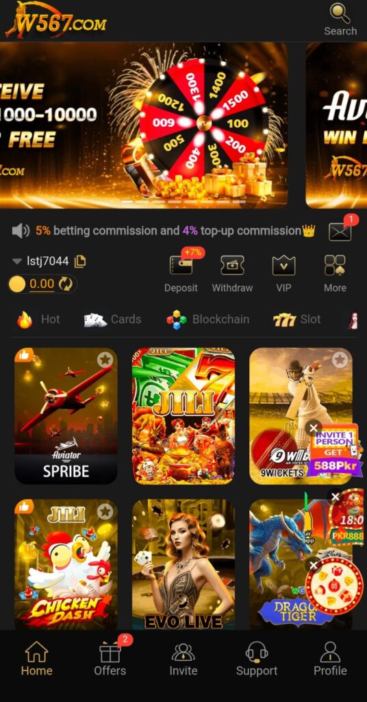 W567 Game