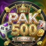 PAK500 game